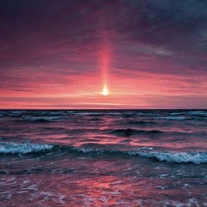 Meet your Posher, Lexie